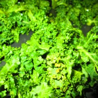 Kale Chips... My New Obsession